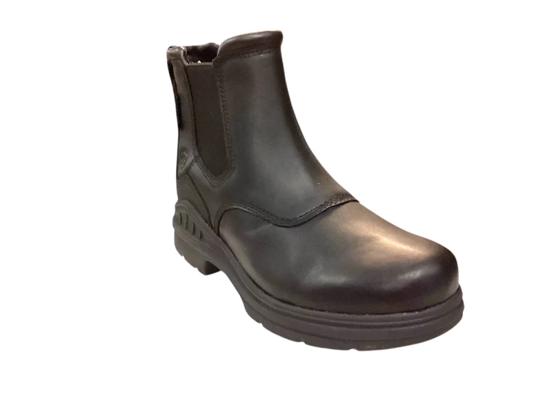 Ariat Wms Barnyard Twin Gore II Waterproof, Zwart