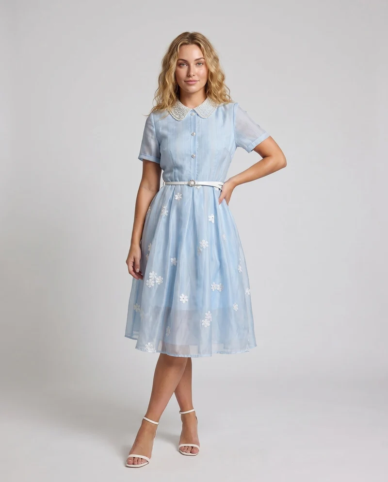 Damen Elegantes Chiffon-Kleid mit floralen Applikationen und strukturierter Passe