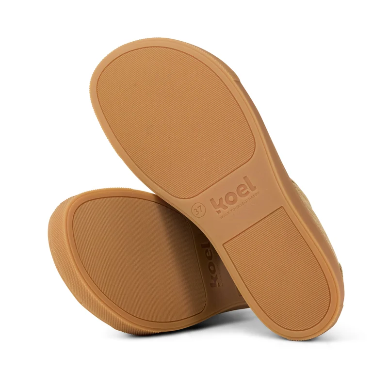 HAZEL Canvas