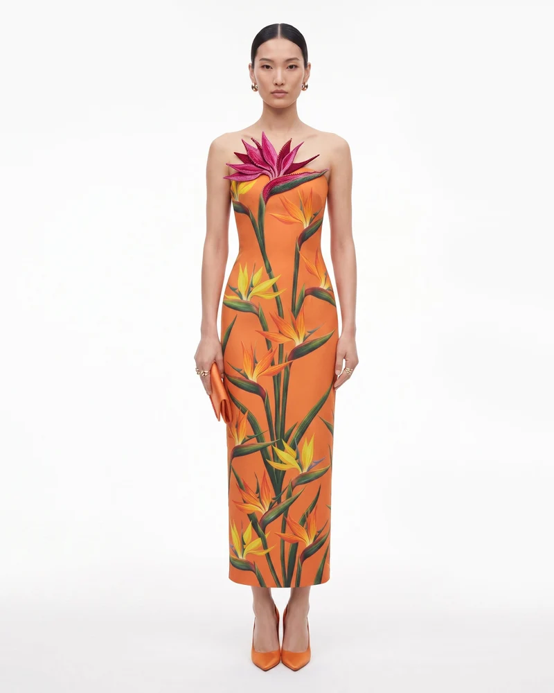 Bird of Paradise trägerloses Etui-Midikleid mit Applikationen – Orange