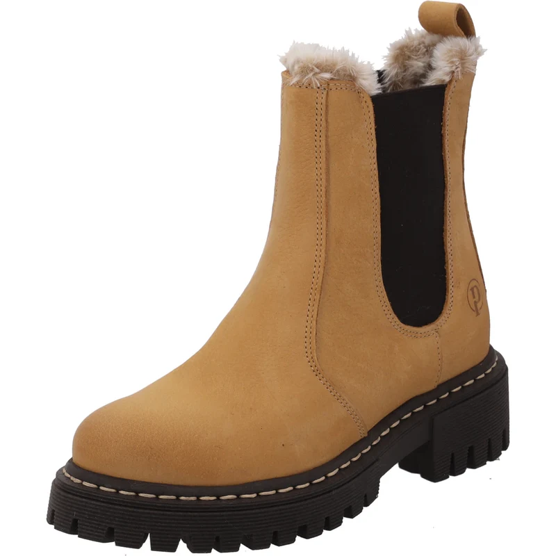Asseha Camel/Camel