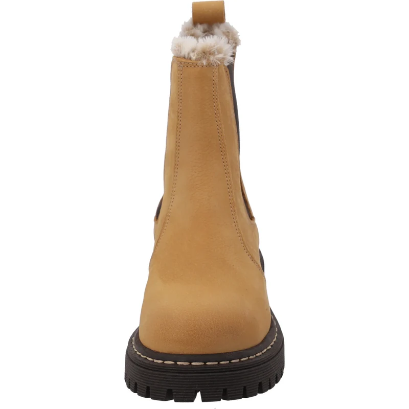 Asseha Camel/Camel