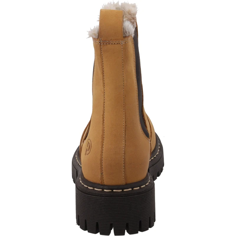 Asseha Camel/Camel