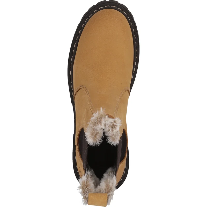 Asseha Camel/Camel