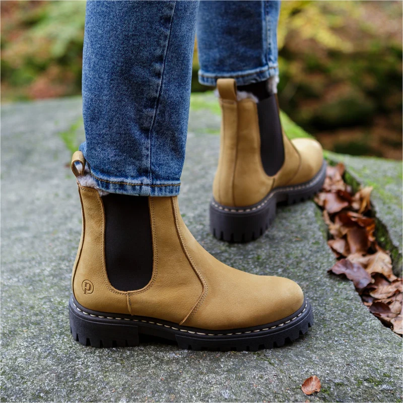 Asseha Camel/Camel