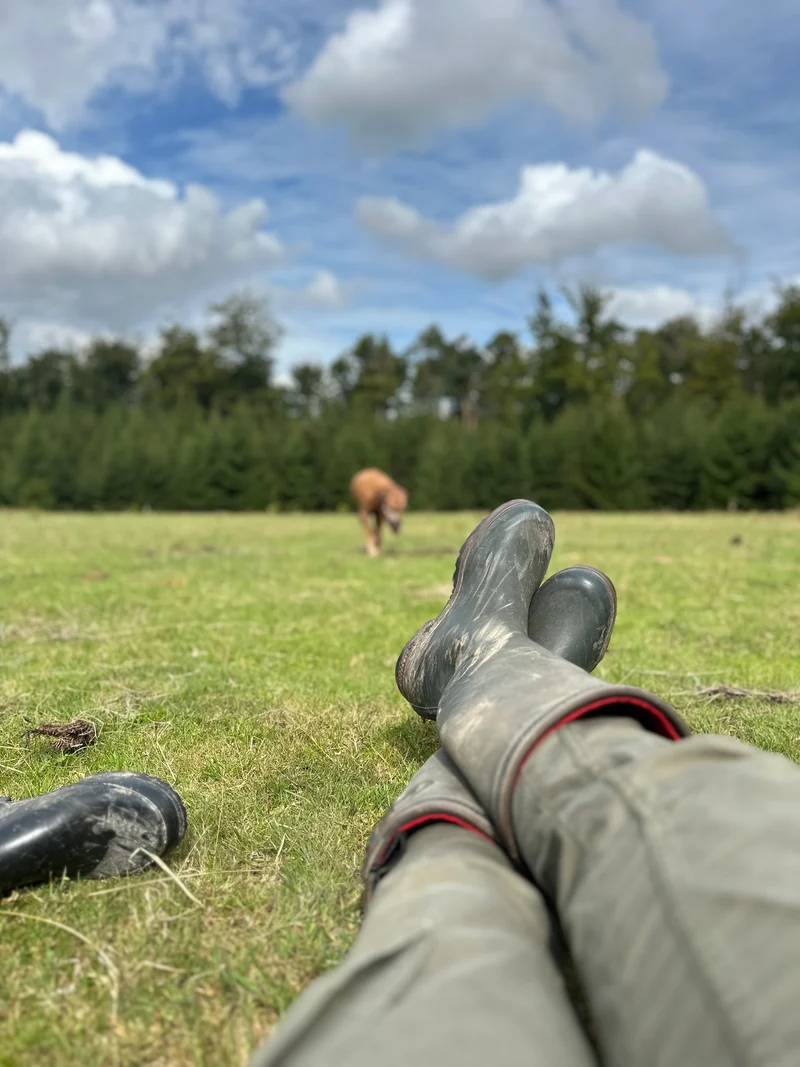 Unisex-Wanderstiefel / AIGLE / PARCOURS® 2 ISO