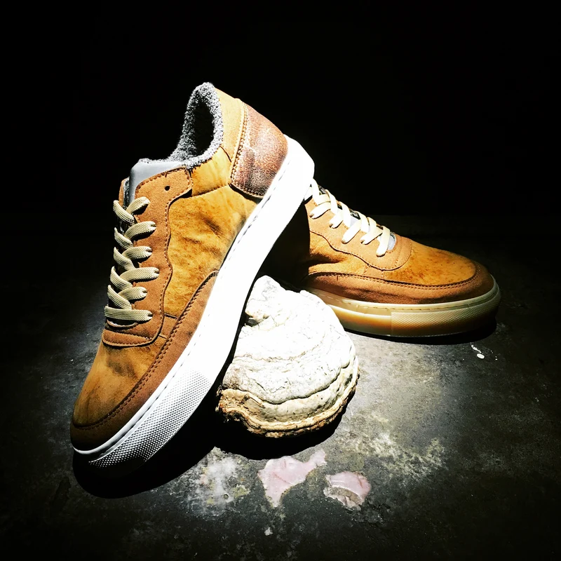 nat-2™ Fungi brown white