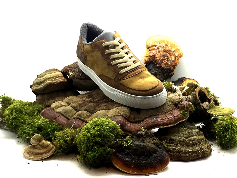nat-2™ Fungi brown white