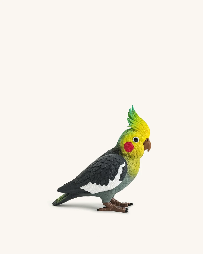 Clutch Gray Cockatiel – Mehrfarbig