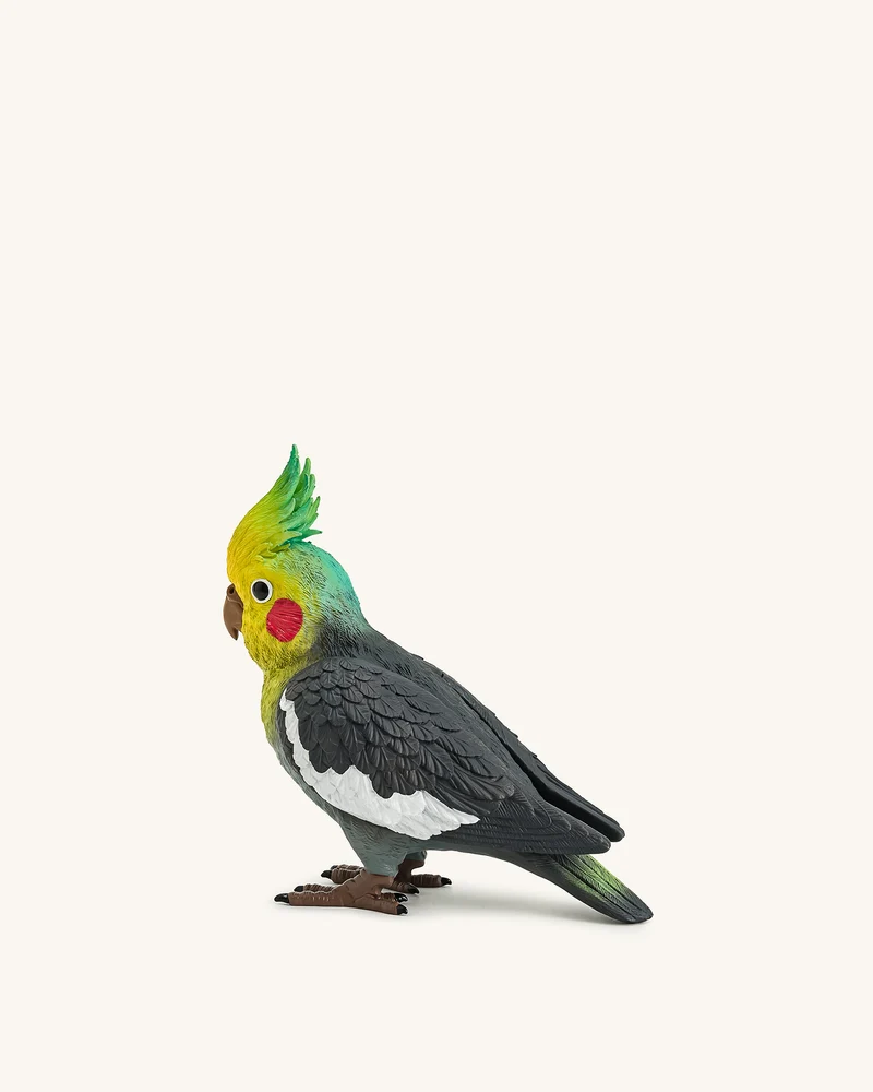 Clutch Gray Cockatiel – Mehrfarbig
