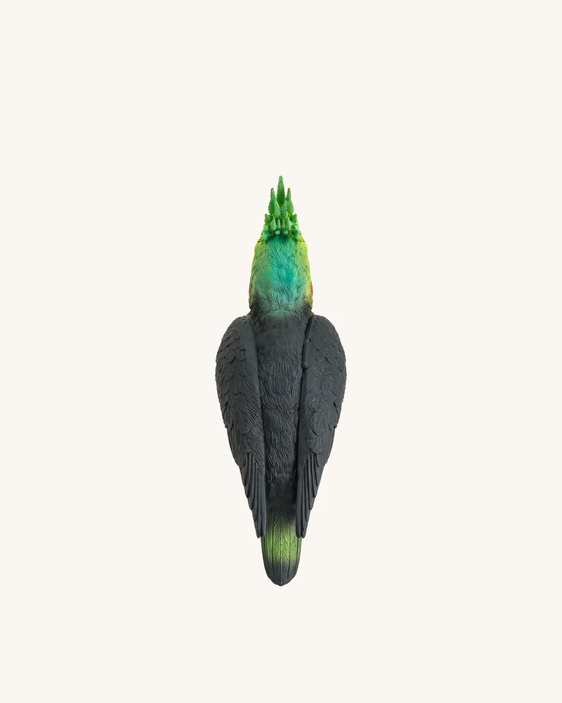 Clutch Gray Cockatiel – Mehrfarbig