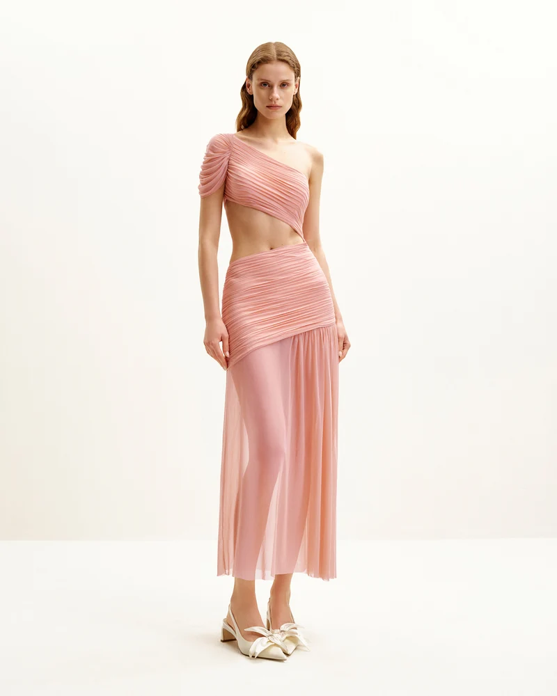 Mia Plissiertes Meshkleid - Rosé