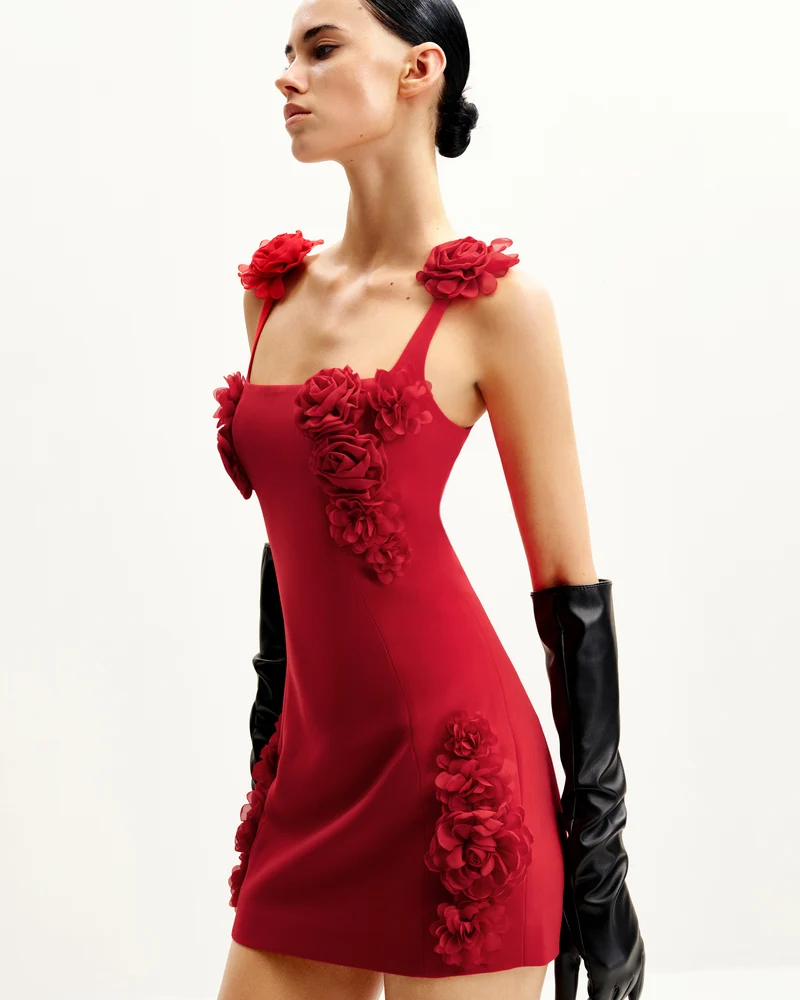 Elaina Mini-Kleid mit Rosetten-Applikation – Rot