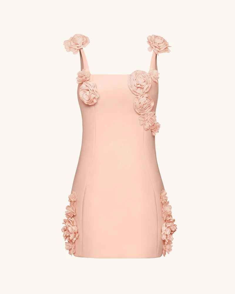 Elaina Mini-Kleid mit Rosetten-Applikation – Apricot