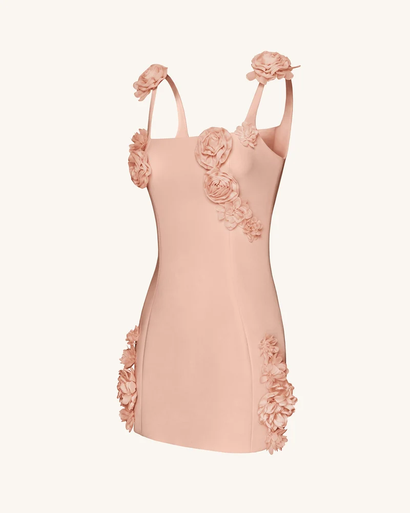 Elaina Mini-Kleid mit Rosetten-Applikation – Apricot