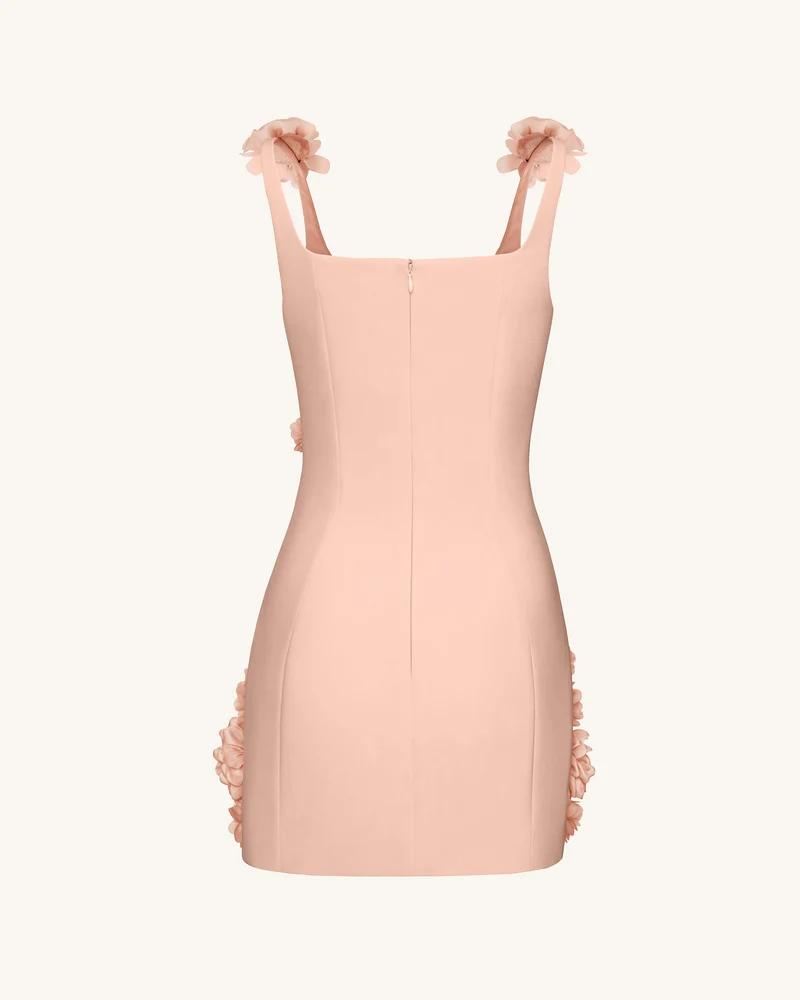 Elaina Mini-Kleid mit Rosetten-Applikation – Apricot