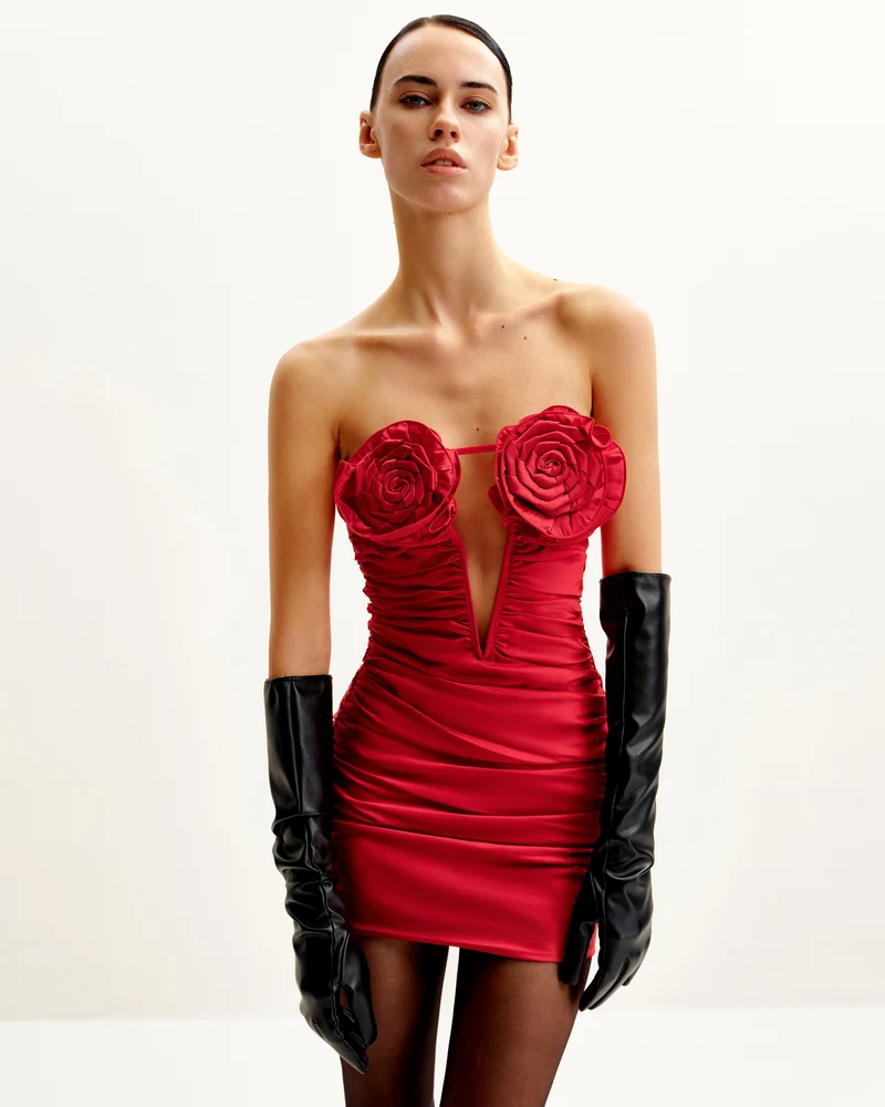 Bailee Rotes Tube-Minikleid mit Blumenapplikationen und Raffung - Rot