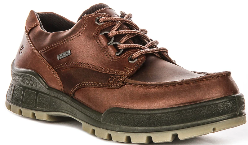 Ecco TRACK 25 M Gortex In Brown for Men