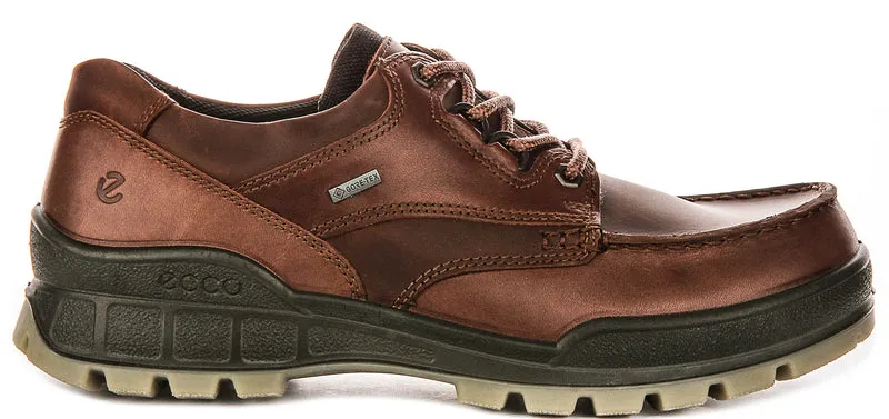 Ecco TRACK 25 M Gortex In Brown for Men