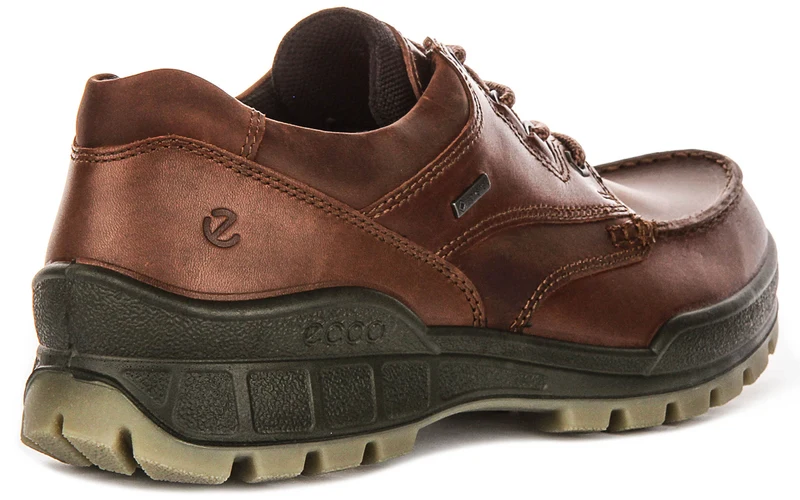 Ecco TRACK 25 M Gortex In Brown for Men