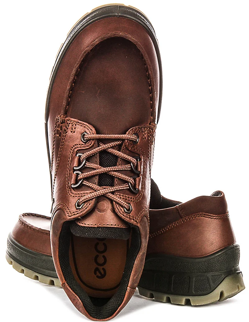 Ecco TRACK 25 M Gortex In Brown for Men