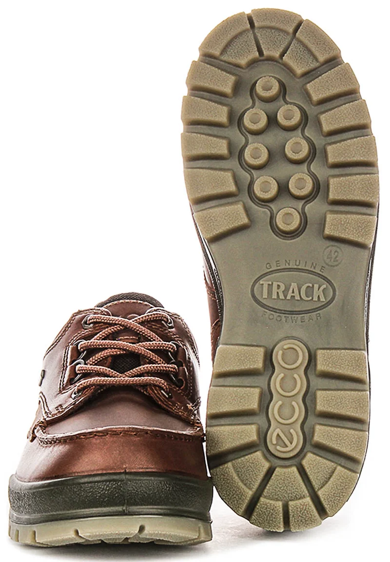 Ecco TRACK 25 M Gortex In Brown for Men