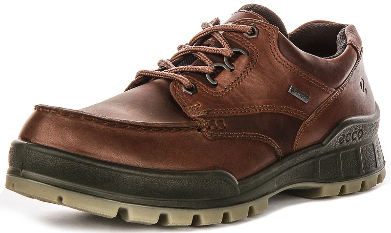 Ecco TRACK 25 M Gortex In Brown for Men