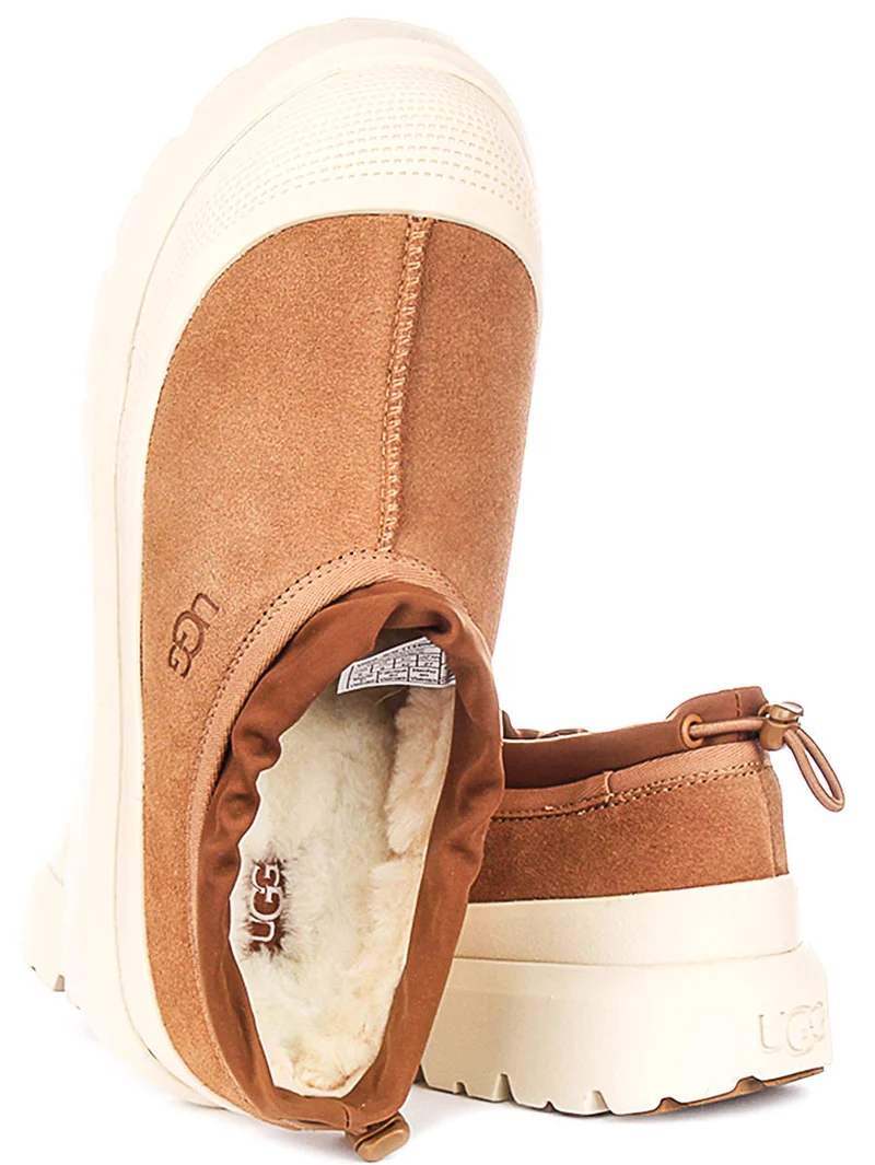 UGG Tasman Weather In Chestnut For Men