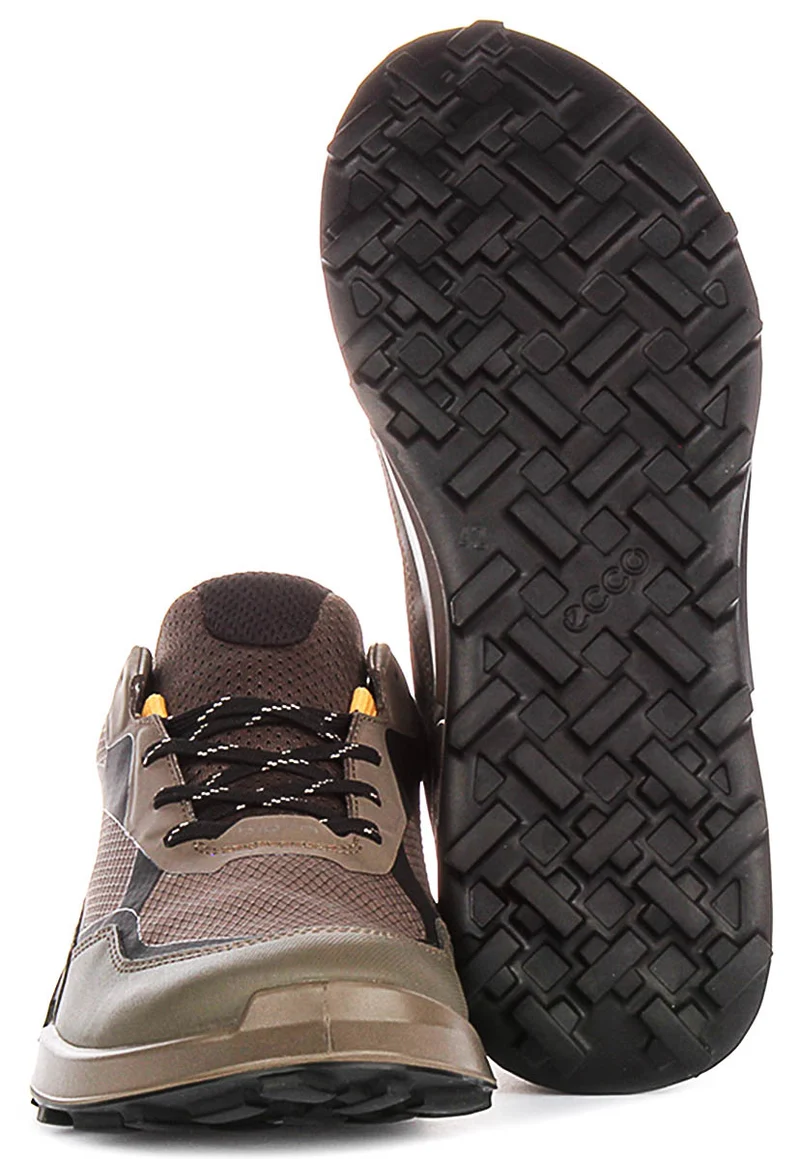 Ecco Biom 2.1 X Mountain In Brown For Men