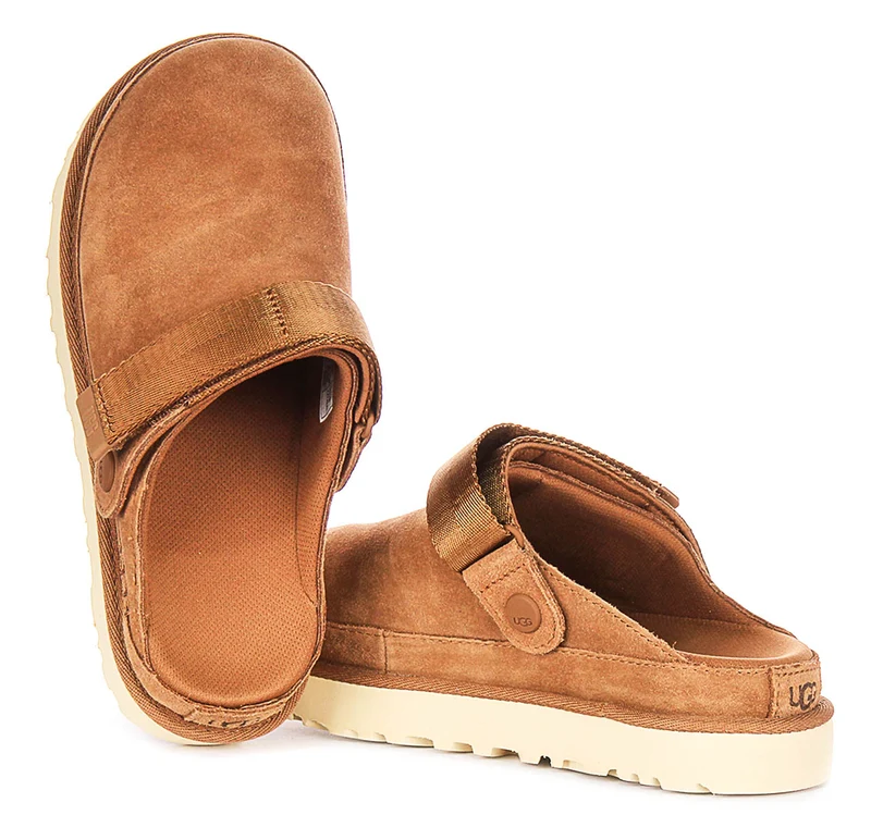 UGG Goldenstar Clog In Chestnut For Women