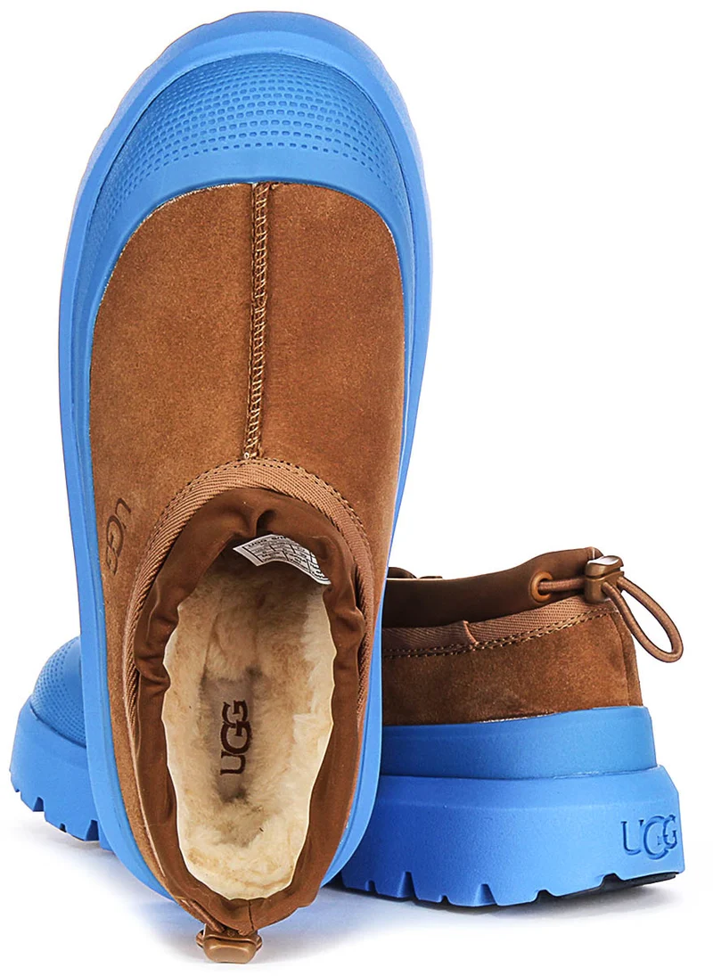 UGG Tasman Weather In Chestnut