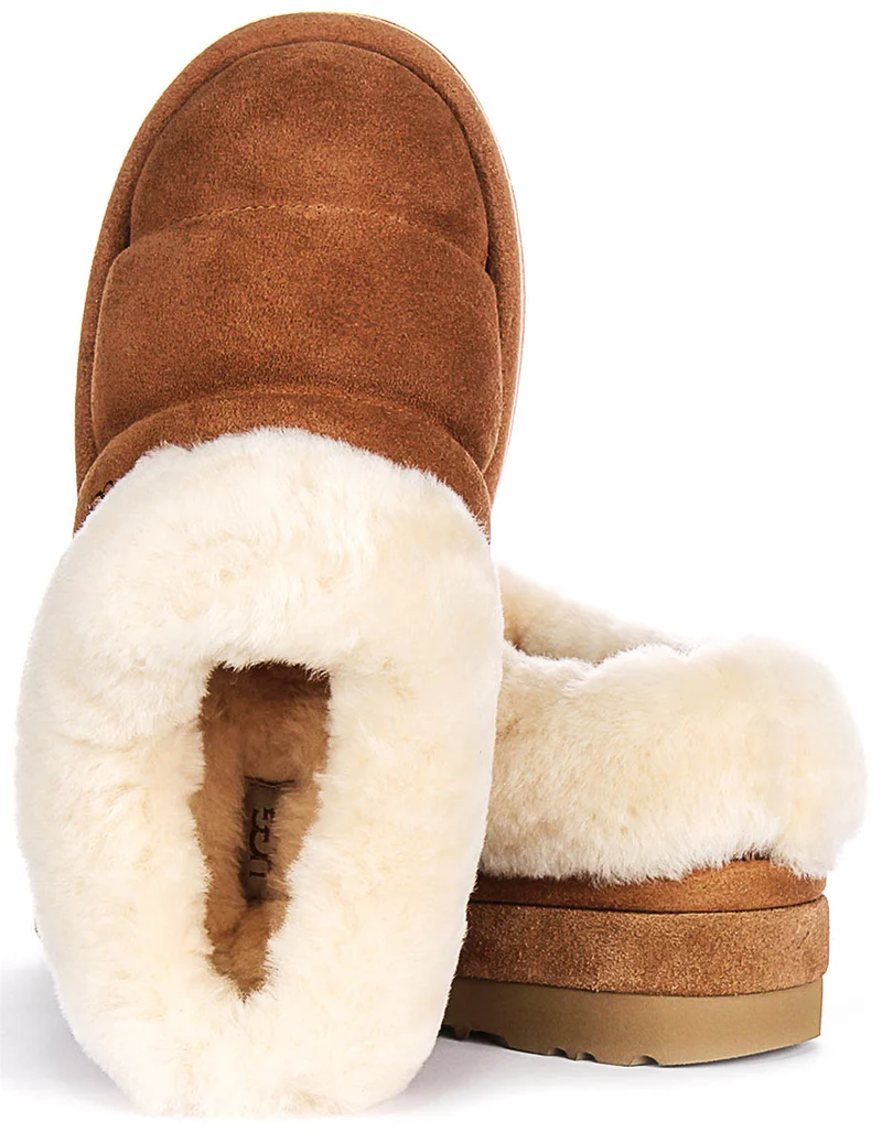 UGG Tazzlita In Chestnut For Women